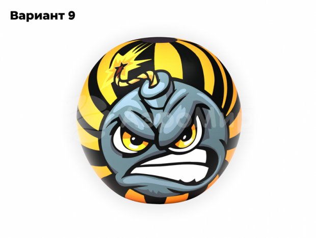 Мяч с чехлом