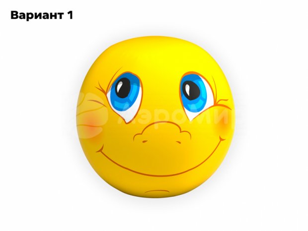 Мяч с чехлом