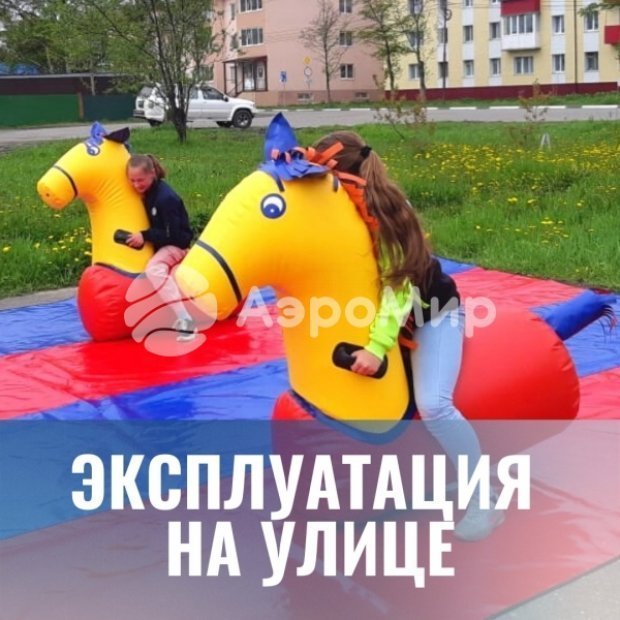 Комплект Разудалый