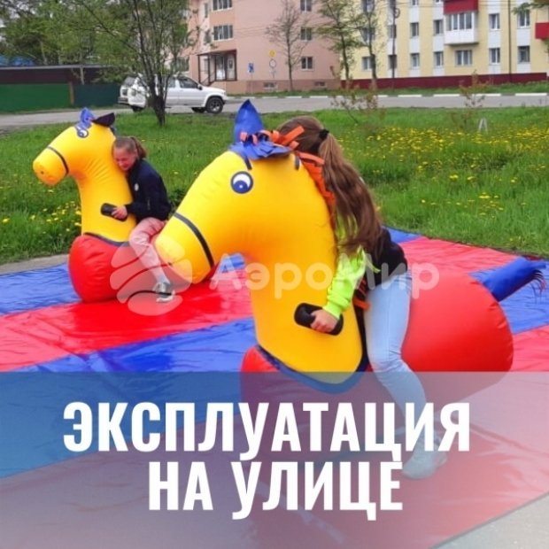 Командные лыжи