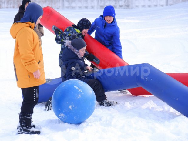 Гигантский хоккей