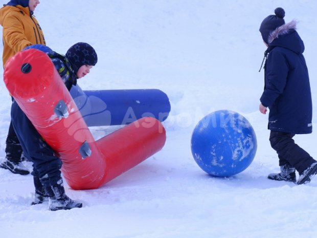 Гигантский хоккей