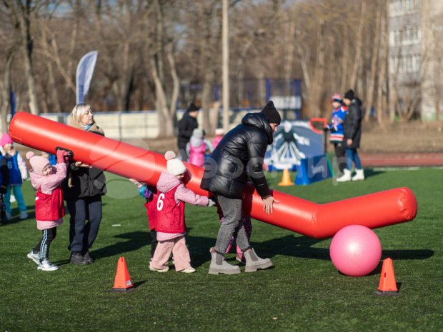 Гигантский хоккей