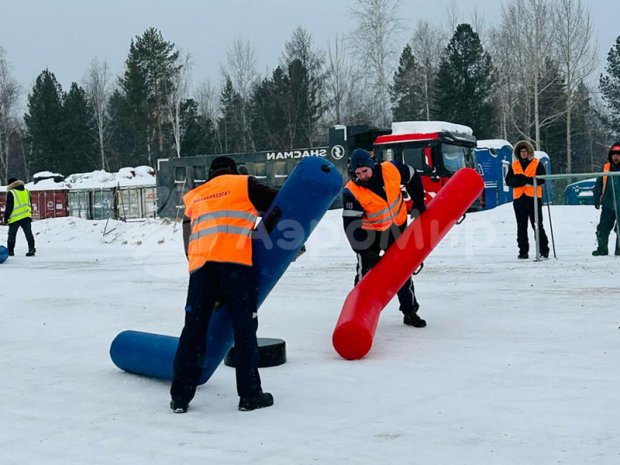 Гигантский хоккей
