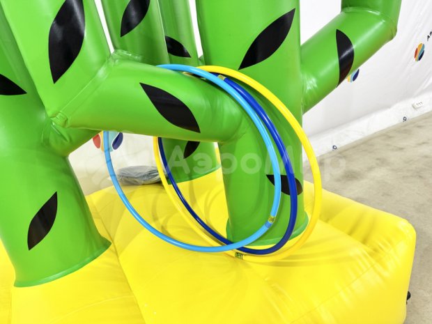 Кольцеброс Кактус