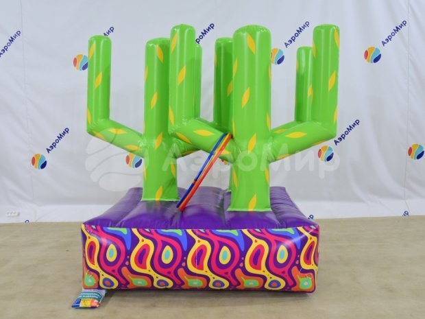 Кольцеброс Кактус