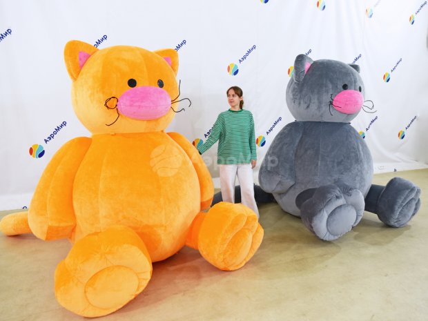 Надувной кот