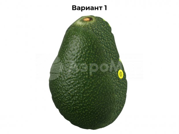 Авокадо-подушка