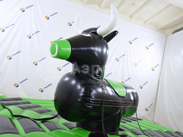 Родео на быке