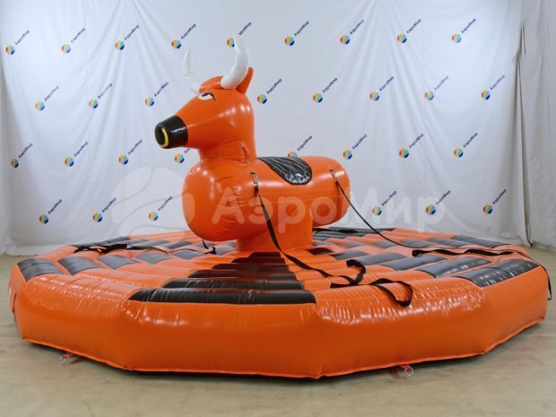 Родео на быке