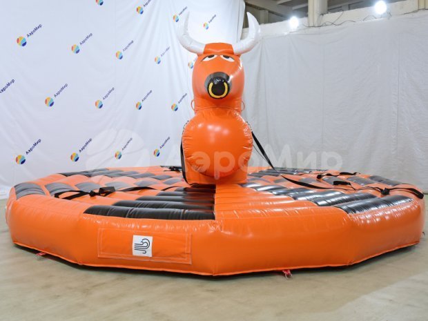 Родео на быке