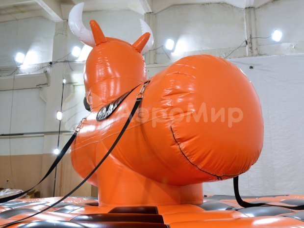 Родео на быке