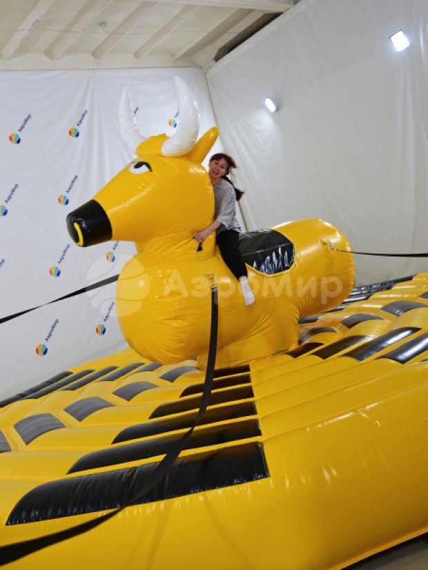 Родео на быке