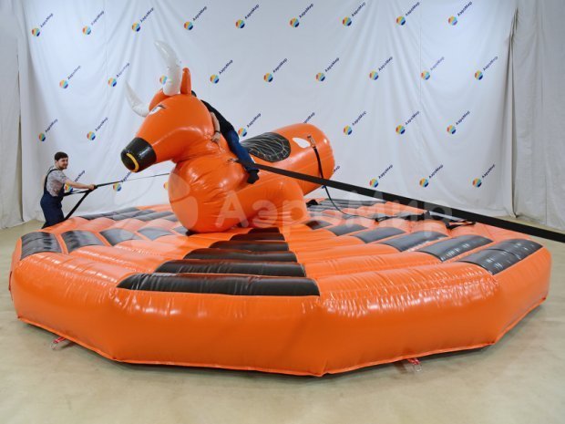 Родео на быке