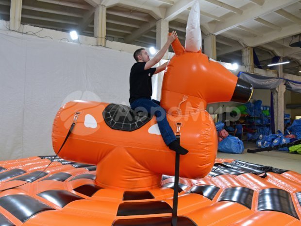 Родео на быке