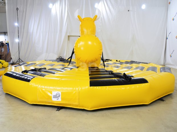 Родео на быке