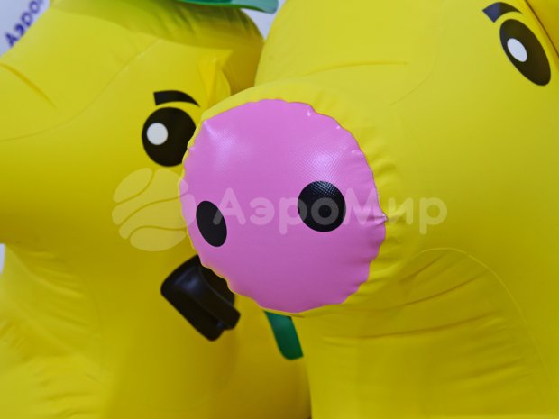 Скачки на свинках