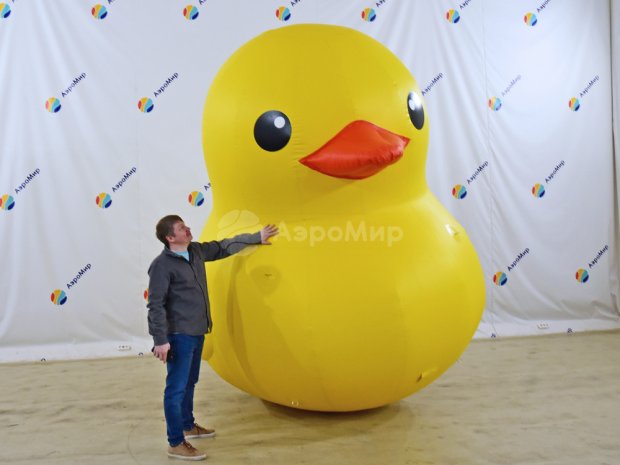 Утка