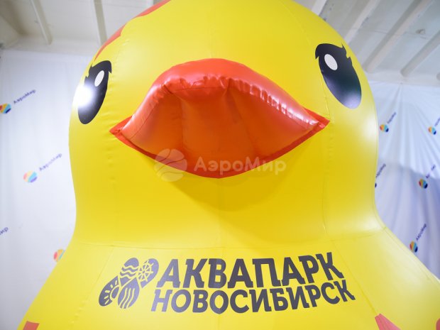 Утка