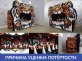 Надувной тир «Тигр»