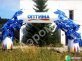 Декоративные арки с цветами