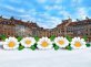 Ромашка с раскрытием