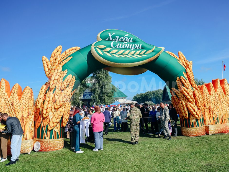 Индивидуальные надувные арки