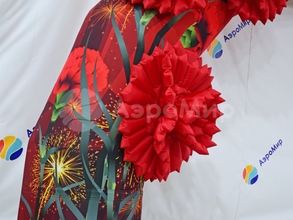 Надувная арка «Праздничная-2»