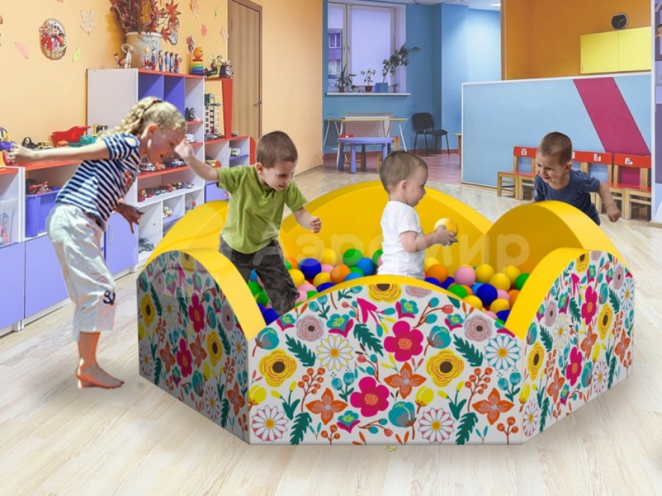 Сухой бассейн «Ромашка»