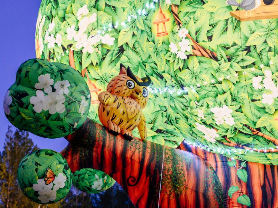 Чудо-дерево — невероятный дом фантазии и приключений