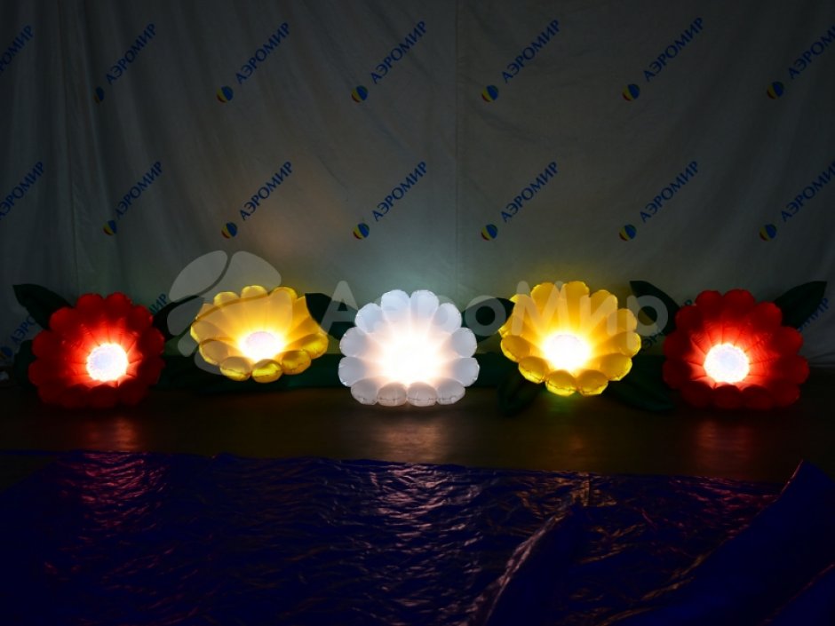 Надувные цветы Герберы