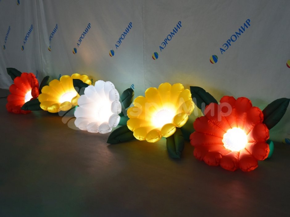 Надувные Герберы с эффектом раскрытия