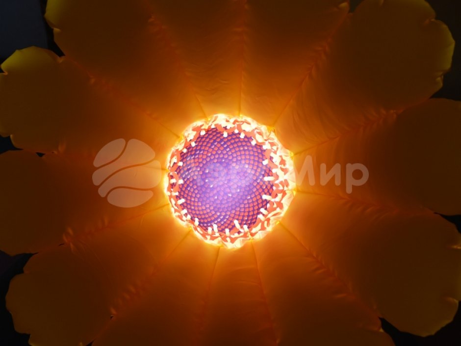 Надувные цветы Герберы