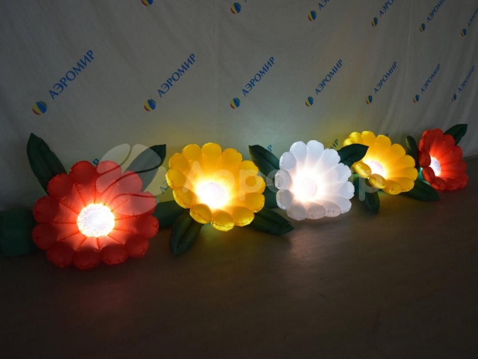 Надувные цветы Герберы