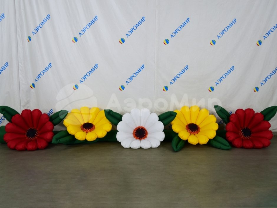 Надувные Герберы с эффектом раскрытия