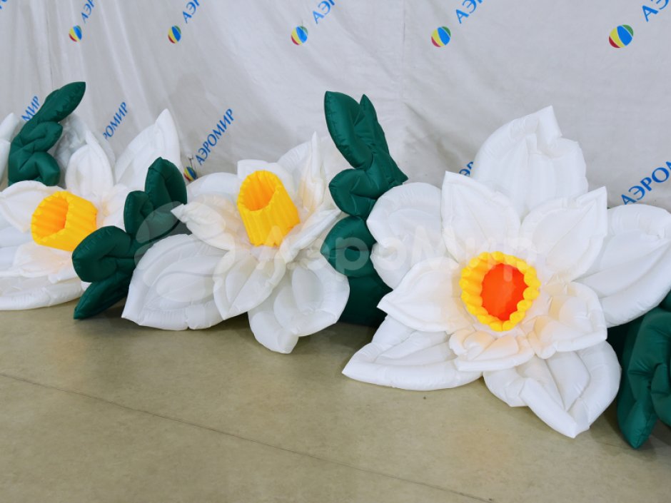 Нарцисс с раскрытием