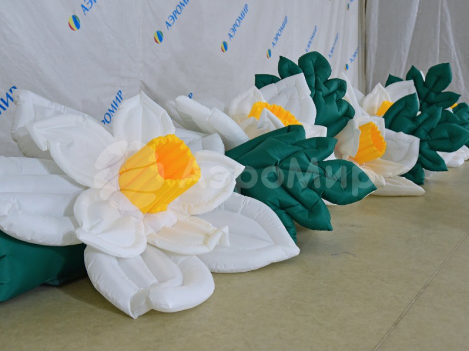 Нарцисс с раскрытием