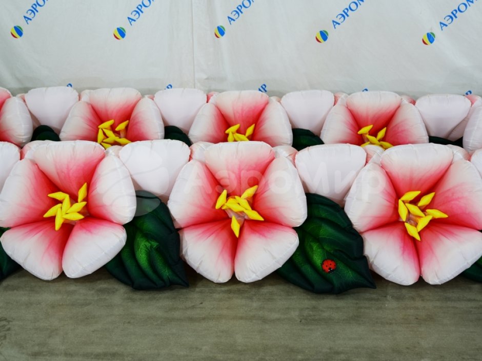 Яблоня с раскрытием