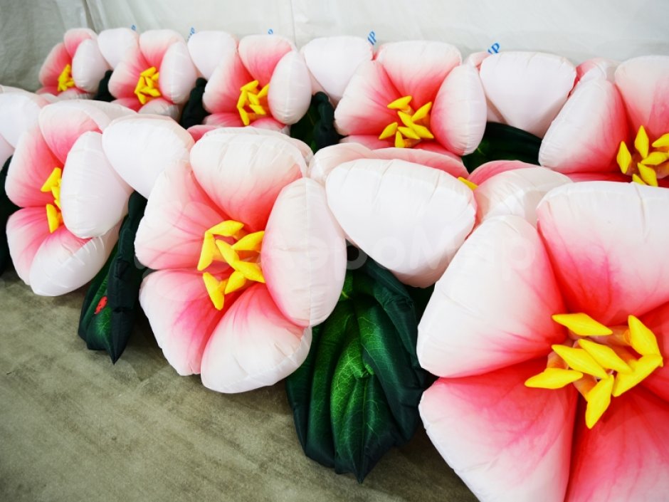 Яблоня с раскрытием