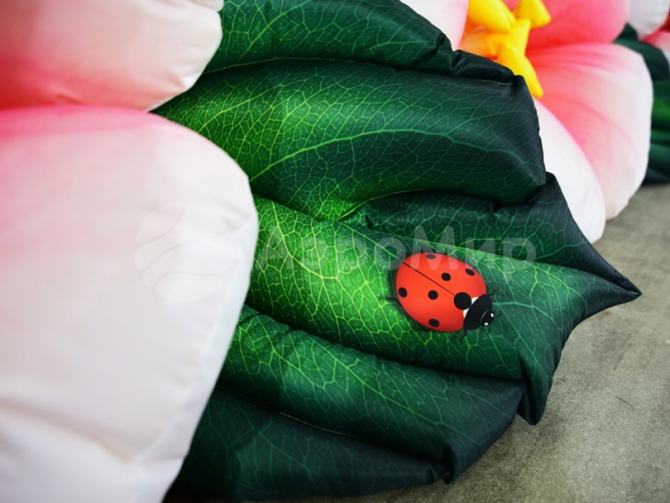 Яблоня с раскрытием