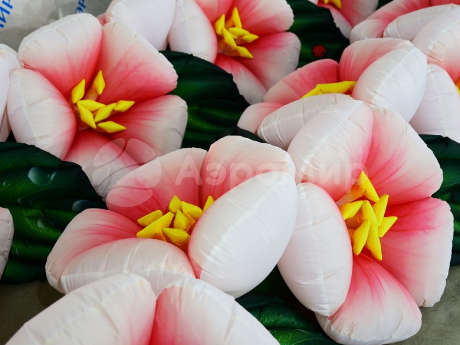 Яблоня с раскрытием