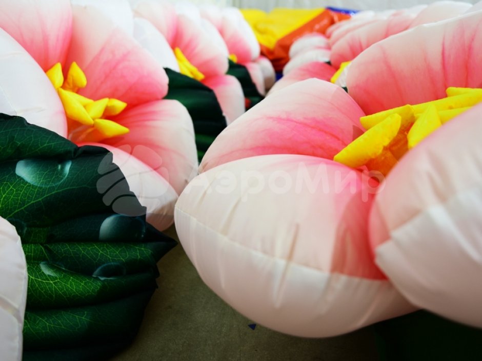 Яблоня с раскрытием