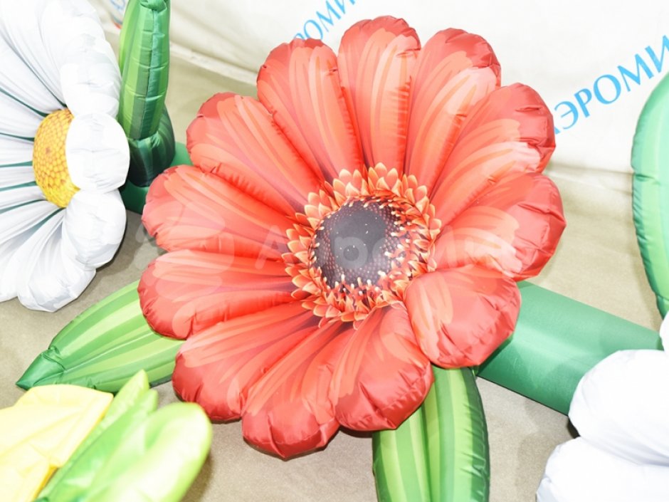 Надувные Герберы с эффектом раскрытия