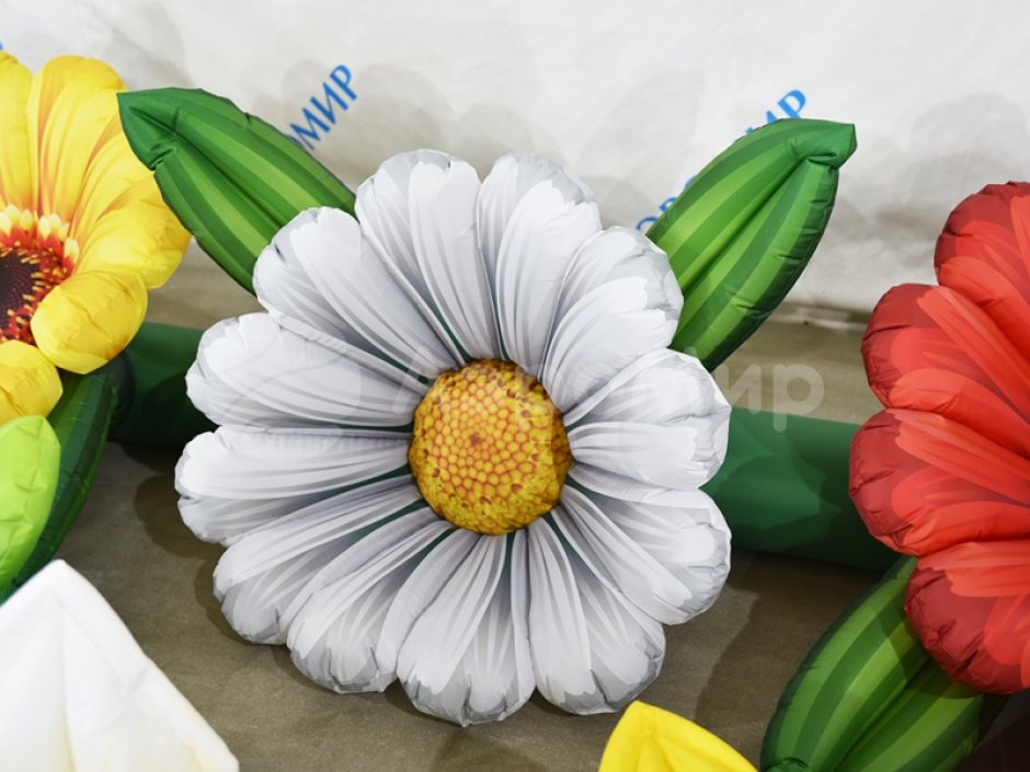 Надувные цветы Герберы