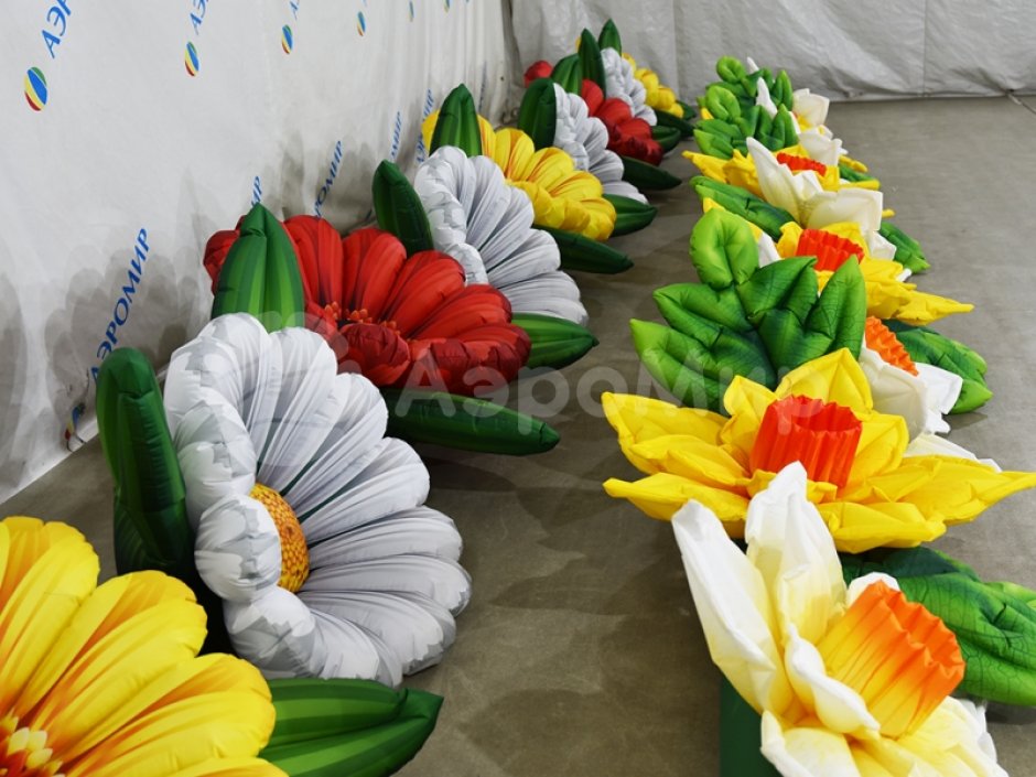 Нарцисс с раскрытием