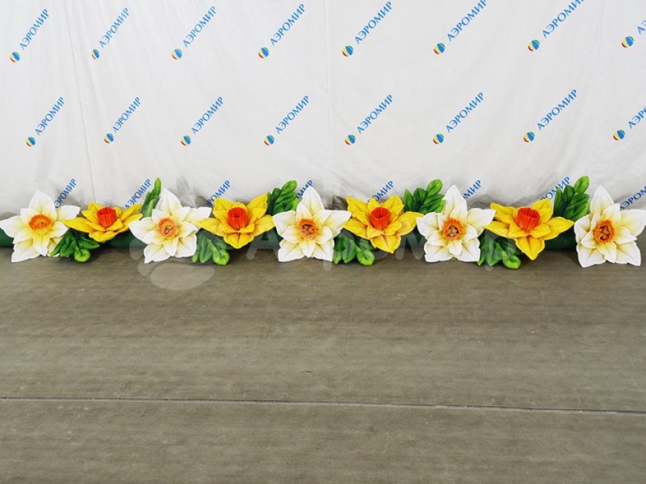 Нарцисс с раскрытием