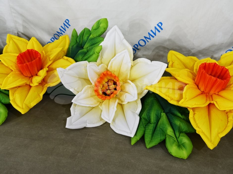 Нарцисс с раскрытием