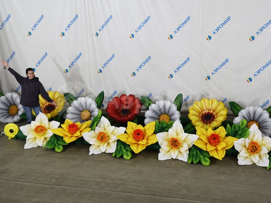 Нарцисс с раскрытием