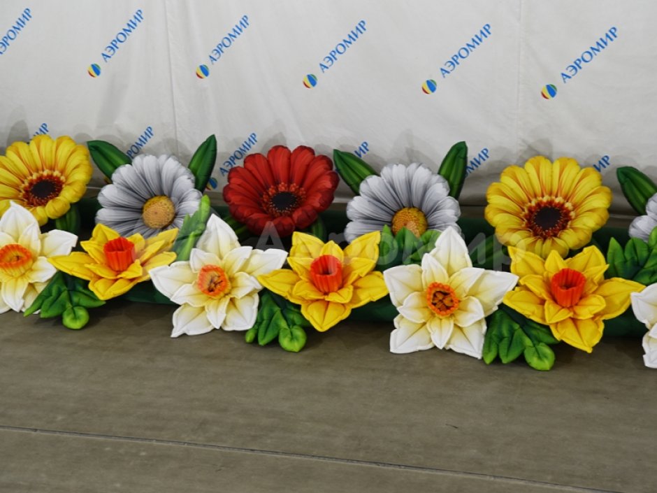 Нарцисс с раскрытием