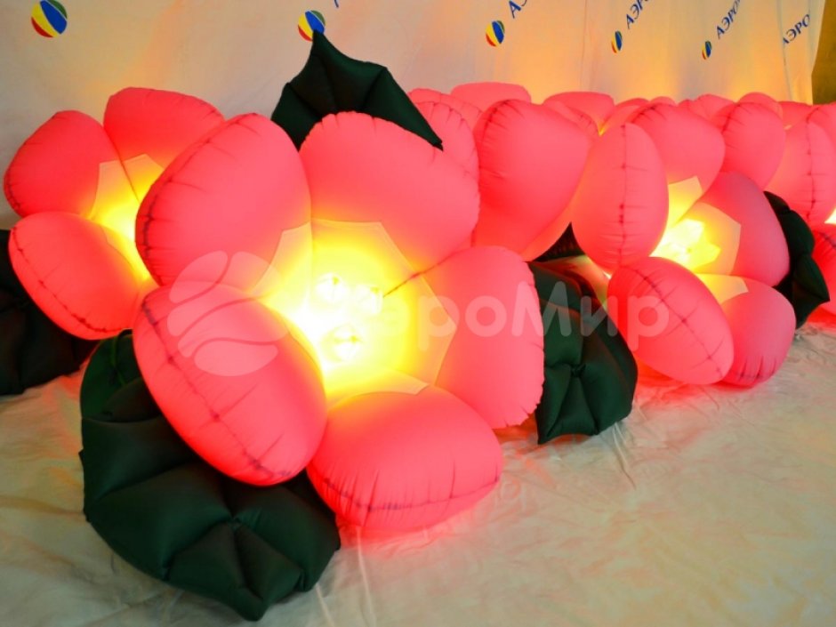 Яблоня с раскрытием